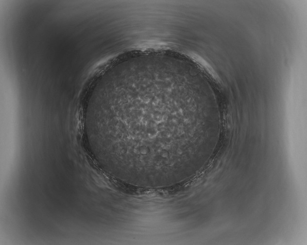 X0000113141063200909110929