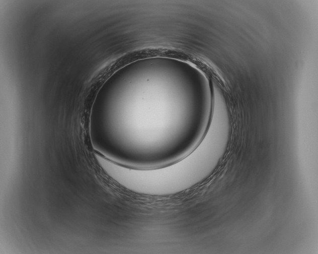 X0000113141064200909110929