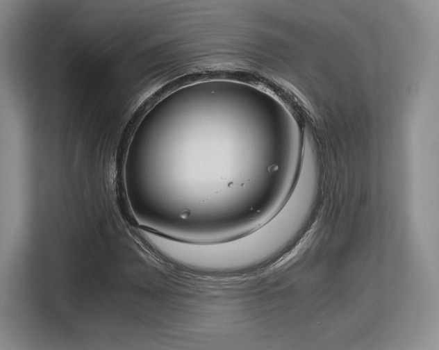 X0000113141065200909110929