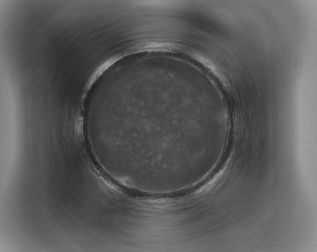 X0000113141066200909110929