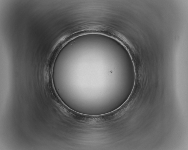 X0000113141067200909110929