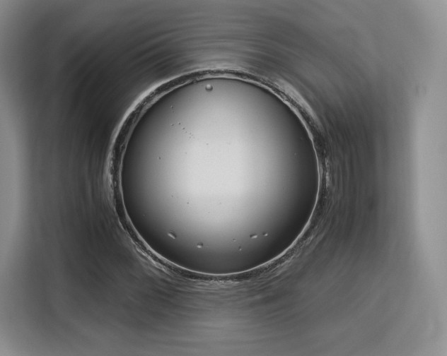 X0000113141068200909110929