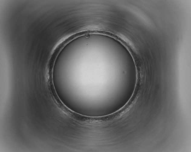 X0000113141070200909110929