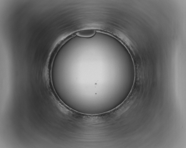 X0000113141072200909110929