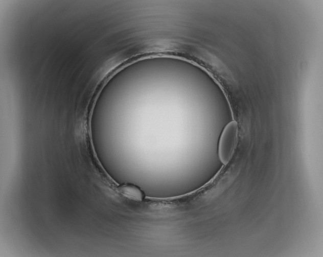 X0000113141073200909110929