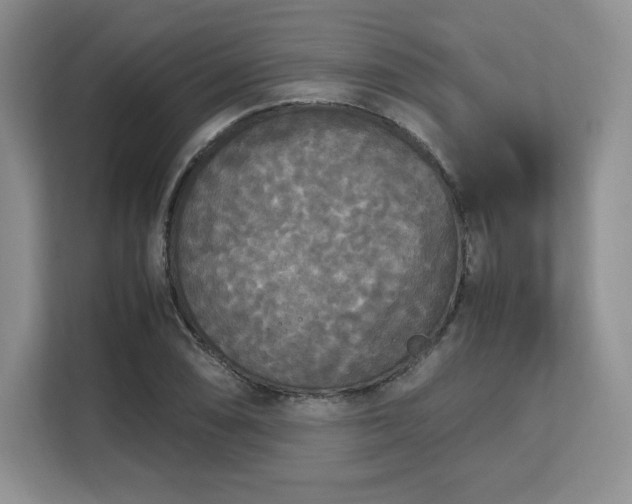 X0000113141074200909110929