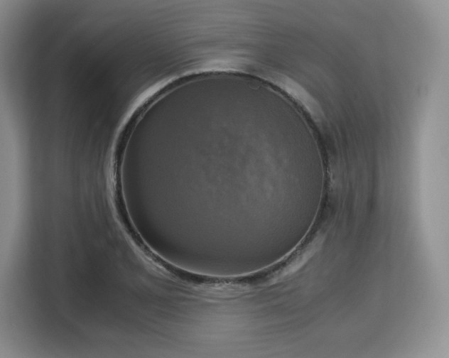 X0000113141077200909110929