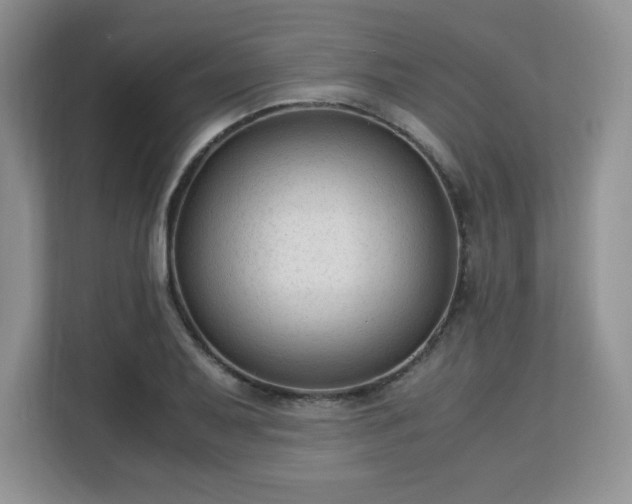 X0000113141079200909110929