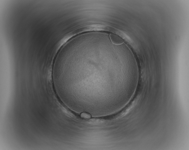 X0000113141081200909110929