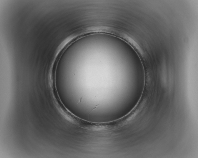 X0000113141082200909110929