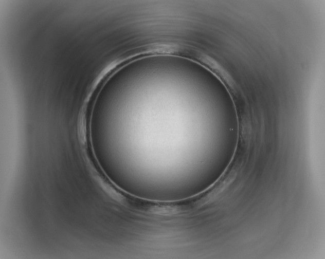 X0000113141083200909110929