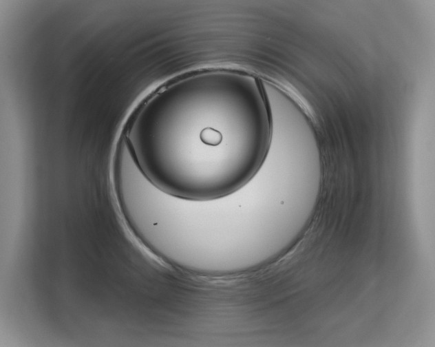 X0000113141084200909110929