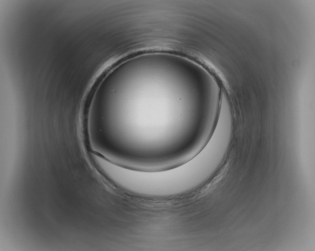 X0000113141085200909110929