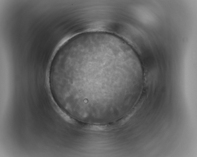 X0000113141086200909110929