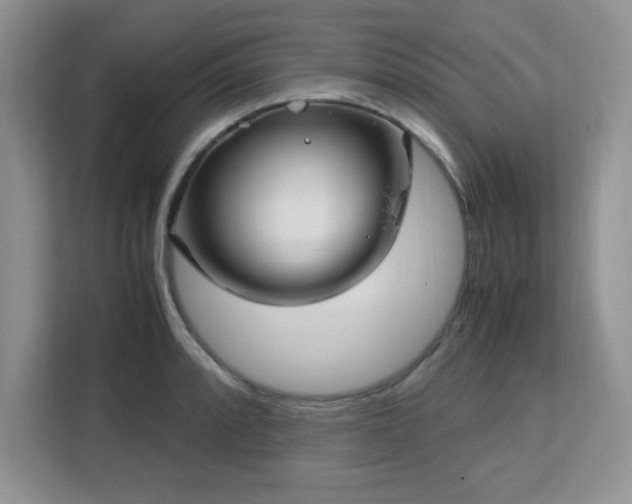 X0000113141088200909110929