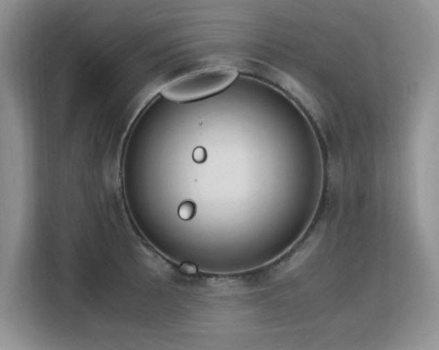 X0000113141089200909110929