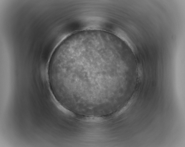 X0000113141090200909110929