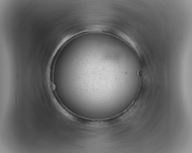 X0000113141091200909110929