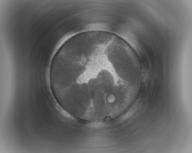 X0000113141094200909110929