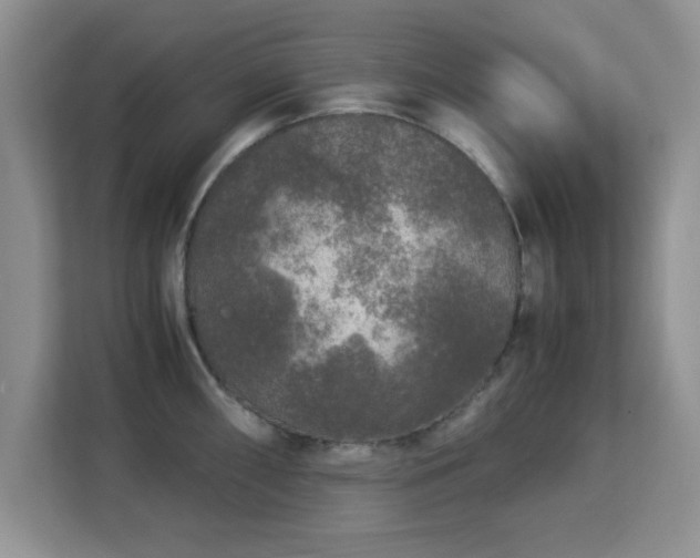 X0000113141098200909110929