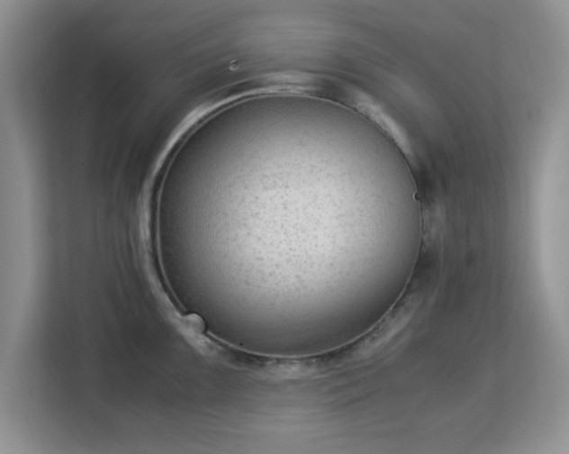 X0000113141099200909110929