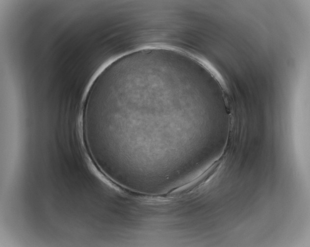 X0000113141100200909110929