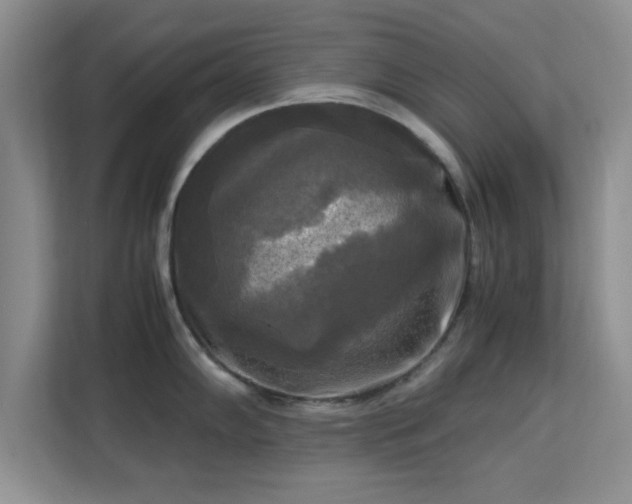 X0000113141102200909110929