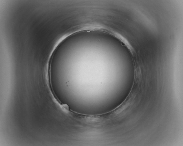 X0000113141103200909110929