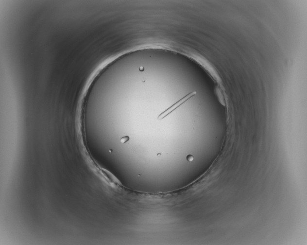 X0000113141104200909110929