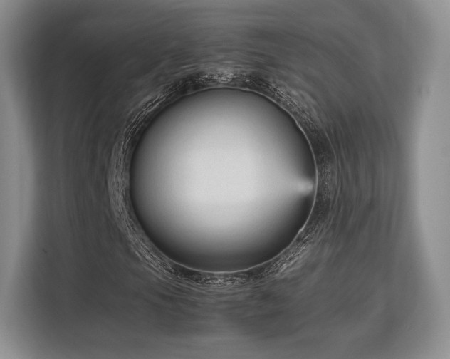 X0000113141105200909110928