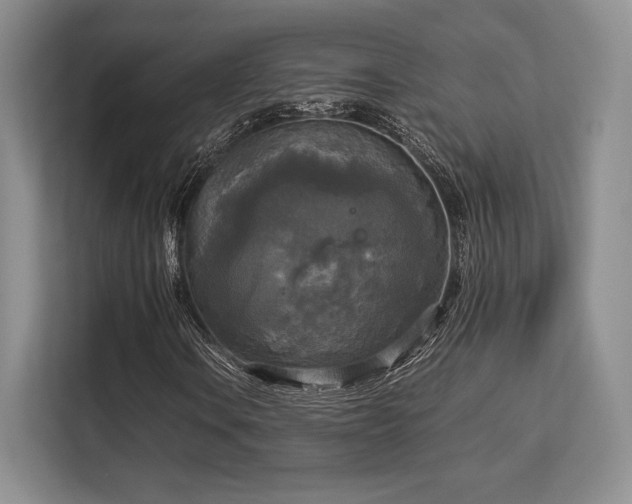 X0000113141106200909110928