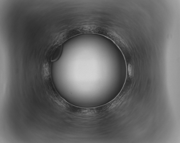 X0000113141107200909110928