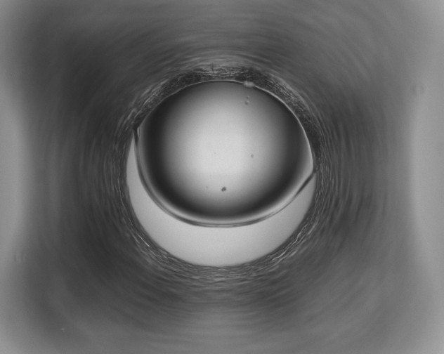 X0000113141108200909110928