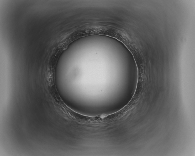 X0000113141109200909110928