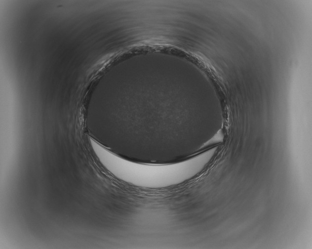 X0000113141110200909110928