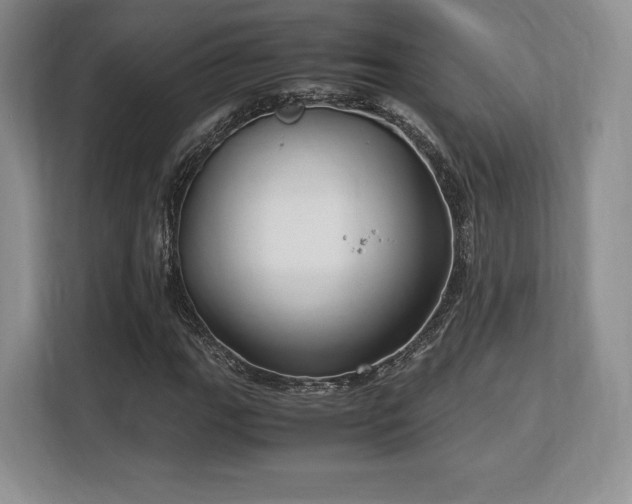 X0000113141111200909110928