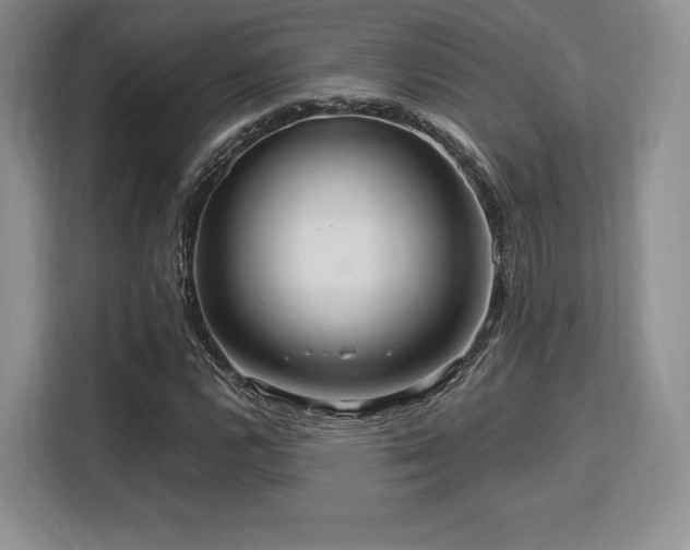 X0000113141112200909110928