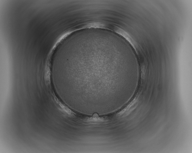 X0000113141115200909110928