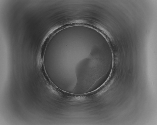 X0000113141117200909110928