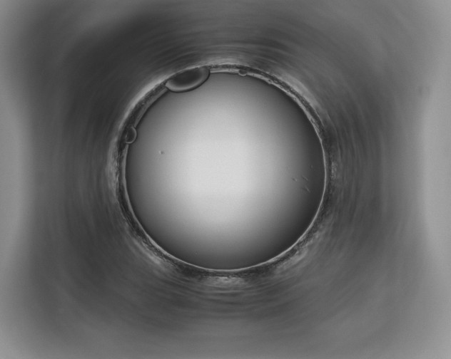 X0000113141119200909110928