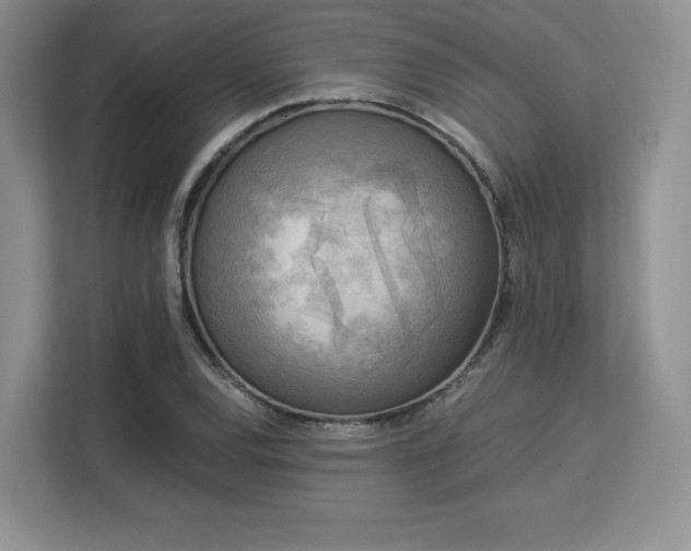 X0000113141120200909110928