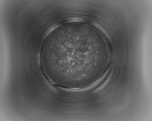 X0000113141121200909110928