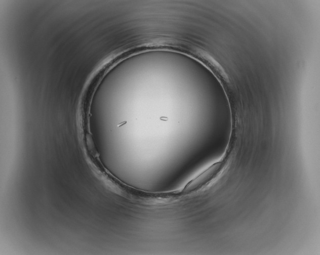 X0000113141122200909110928