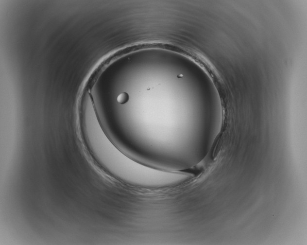 X0000113141124200909110928