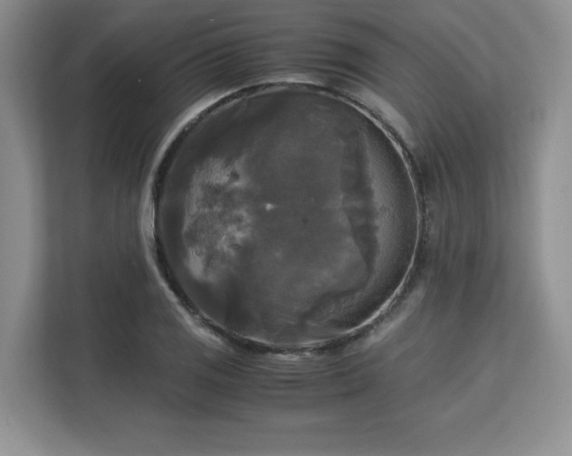 X0000113141125200909110928