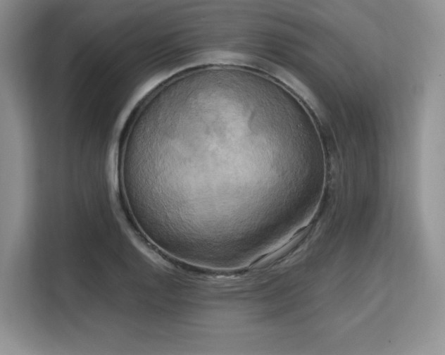 X0000113141128200909110928