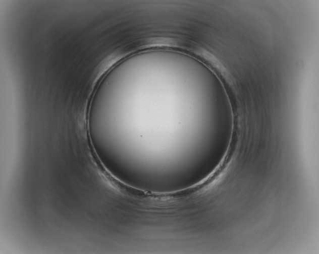 X0000113141129200909110928