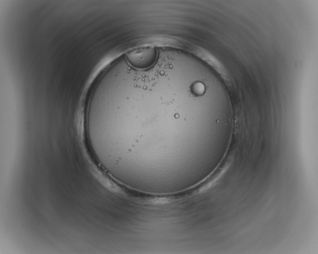 X0000113141130200909110928