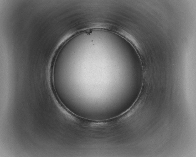 X0000113141135200909110929