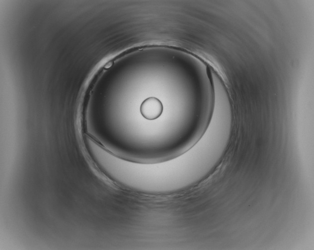 X0000113141136200909110929